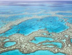 Lautan ‘Membara’, Great Barrier Reef Australia di Ambang Petaka