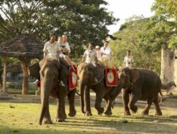 Taman Safari Siap Bangun Tempat Wisata di IKN