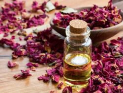 7 Essential Oil yang Ampuh Mengoptimalkan Gairah Bercinta