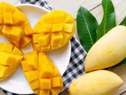 Lagi Musim, Apa yang Terjadi Manakala Makan Mangga Setiap Hari?