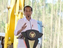 Jokowi Groundbreaking 2 Penanaman Modal Asing di IKN pada 19-20 September