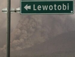 Gempa Lokal Pengaruhi Erupsi Gunung Lewotobi Laki-laki