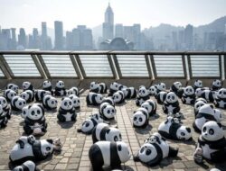 Perayaan Seni 2.500 Patung Panda di Hong Kong, Rayakan Populasi Panda