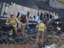 Jeju Air Jatuh Imbas Bird Strike sampai Larangan Taliban soal Jendela