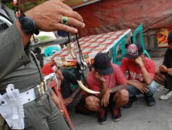 Pengusaha Kritik Premanisme Masih Marak: Masa Pemerintah Kalah?