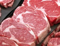Turis Inggris Dilarang Bawa Daging dan Keju Usai Liburan dari Eropa