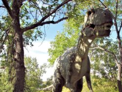 Studi Ungkap Nenek Moyang T-rex dari Asia, Lalu Hijrah ke Amerika