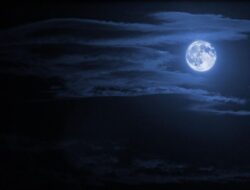 Mengungkap Asal Usul Kata Suro