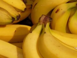 Kapan Waktu yang Tepat Makan Pisang untuk Turunkan BB?