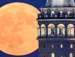 Sejumput Mimpi dari Negeri Dongeng