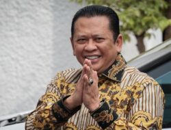 Bamsoet Buka Suara soal Merak Miliknya yang Viral: Pernah terjadi Berizin