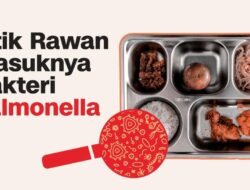 INFOGRAFIS: Ini Jalur Masuk Bakteri Salmonella ke dalam Makanan