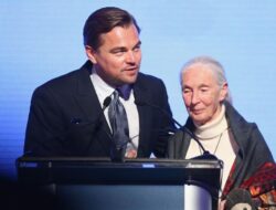 Leonardo DiCaprio Kenang Jane Goodall: Pahlawan Sejati Planet Ini