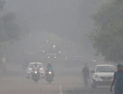 New Delhi Berniat Diguyur Hujan Bersejarah Pekan Depan, Ada Apa?