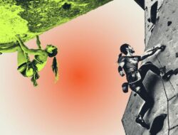 EDUSPORTS: Nomor dalam Cabang Olahraga Panjat Tebing