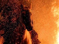 Dari Ular Kayu ke Kuda Api, 2026 Bakal Seperti Apa?