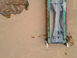 824 Ribu Hewan Ternak Terdampak Bencana Banjir Sumatra, Terbanyak Unggas