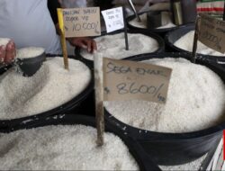 Harga Beras di Penggilingan-Eceran Naik pada Januari 2026