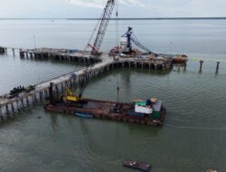 Mentan Sebut Food Estate Merauke Bakal Jadi Kendaraan Bermotor Roda Dua Ketahanan Pangan