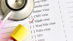 Waspada Virus Nipah, Kemenkes Ingatkan Bahaya Konsumsi Nira Mentah