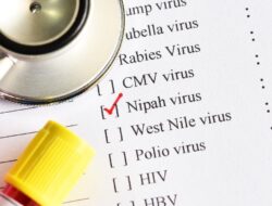 Waspada Virus Nipah, Kemenkes Ingatkan Bahaya Konsumsi Nira Mentah