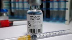 BRIN Diminta Prabowo Percepat Riset Vaksin Malaria, Ini Penjelasannya