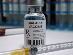 BRIN Diminta Prabowo Percepat Riset Vaksin Malaria, Ini Penjelasannya
